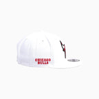 Casquette Snapback 9Fifty NBA des Chicago Bulls