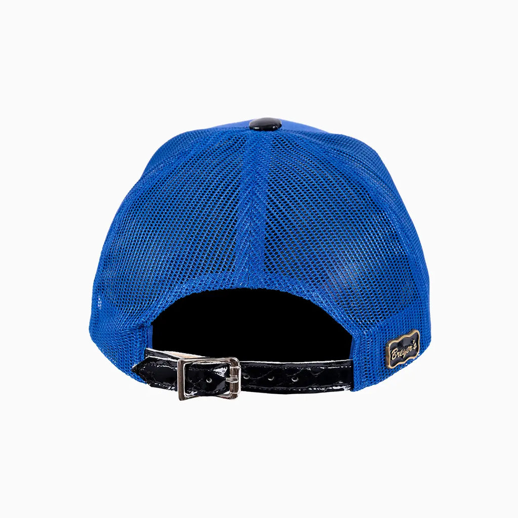 Gorra Trucker Breyer's Buck 50 de lana con visera de cuero
