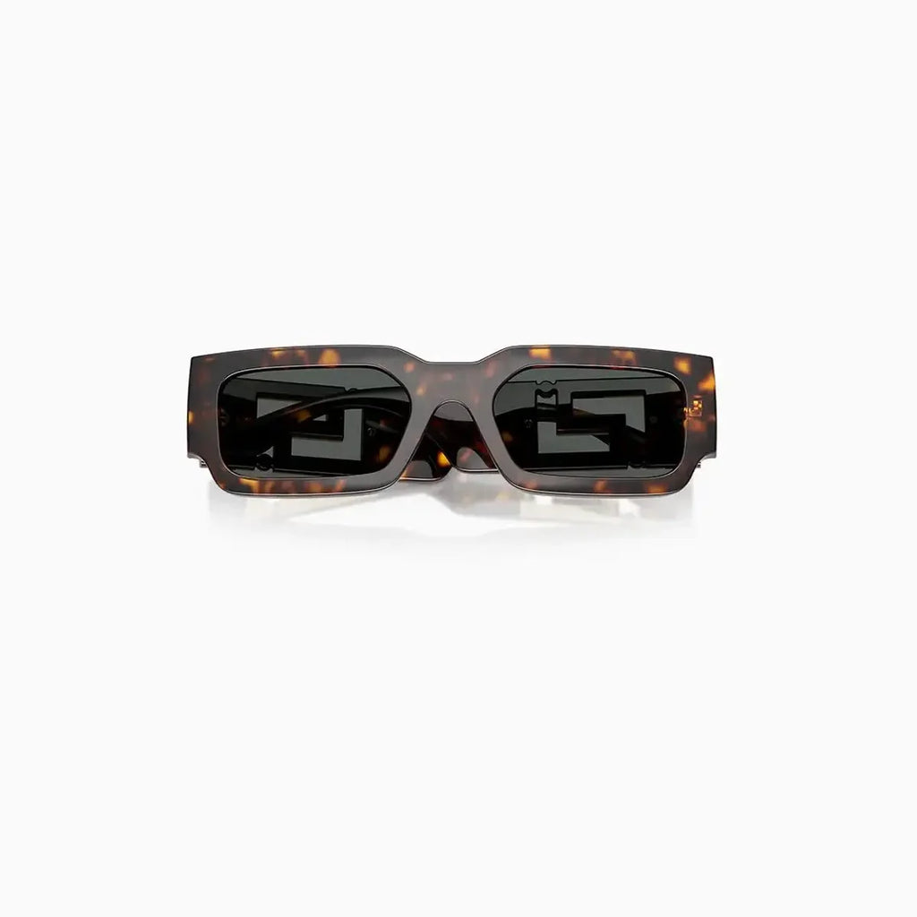 Men's Tortoise Versace Sunglasses
