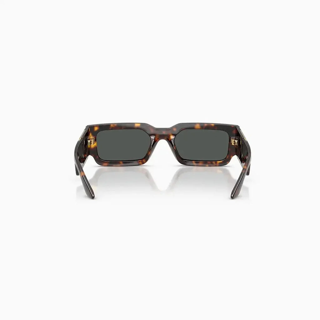 Men's Tortoise Versace Sunglasses