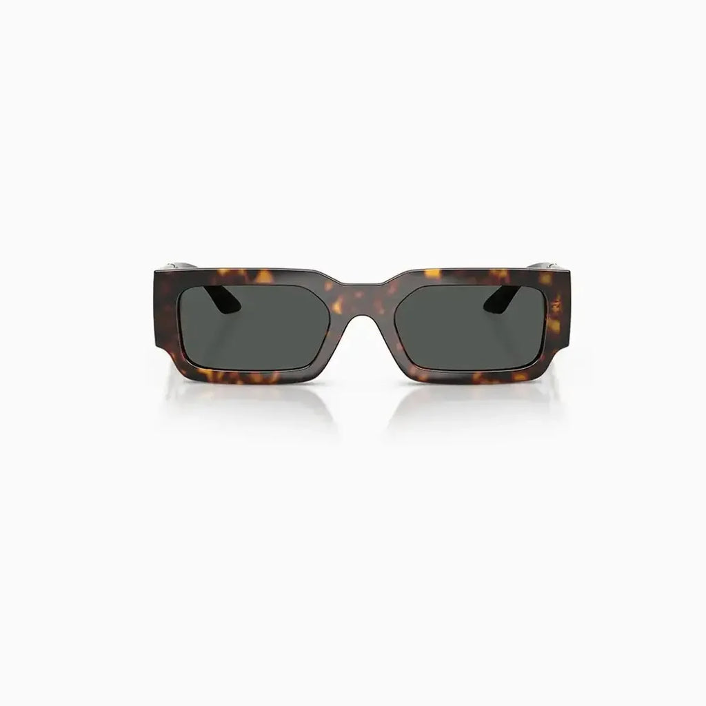 Men's Tortoise Versace Sunglasses