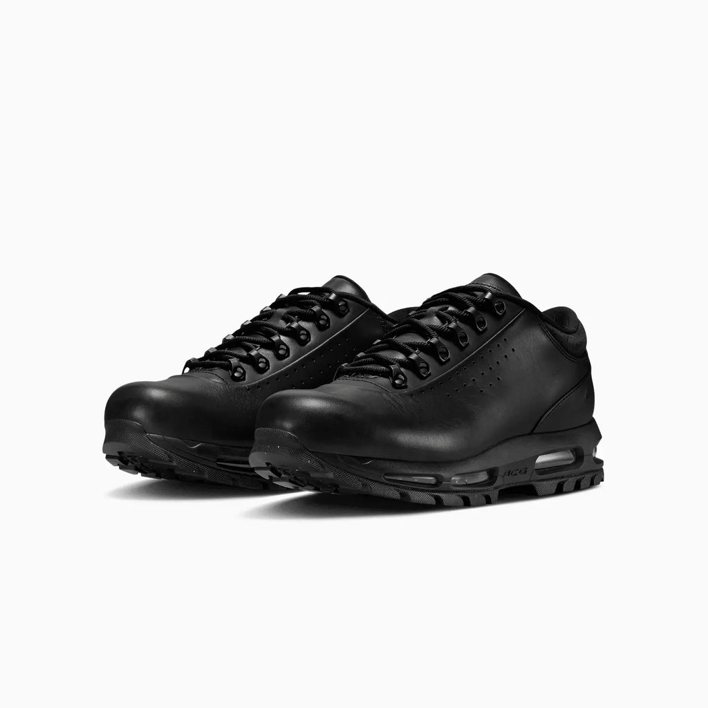 Air Max Goadome Low SP Homme