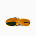 Air Zoom Huarache 2K4 Homme 'Sue Bird'