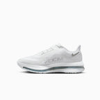 Air Zoom Pegasus Premium Homme