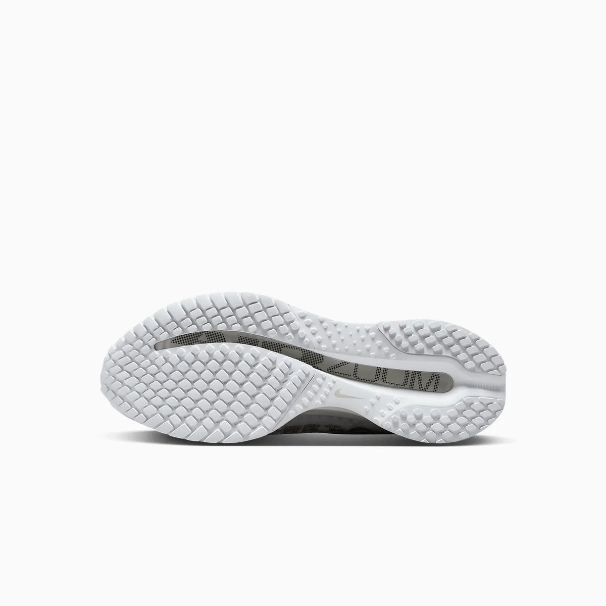 Air Zoom Pegasus Premium Homme