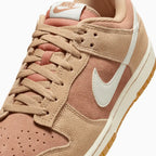 Dunk Low Retro SE pour homme « Hemp »