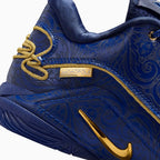 Men's LeBron XXII 'Token'