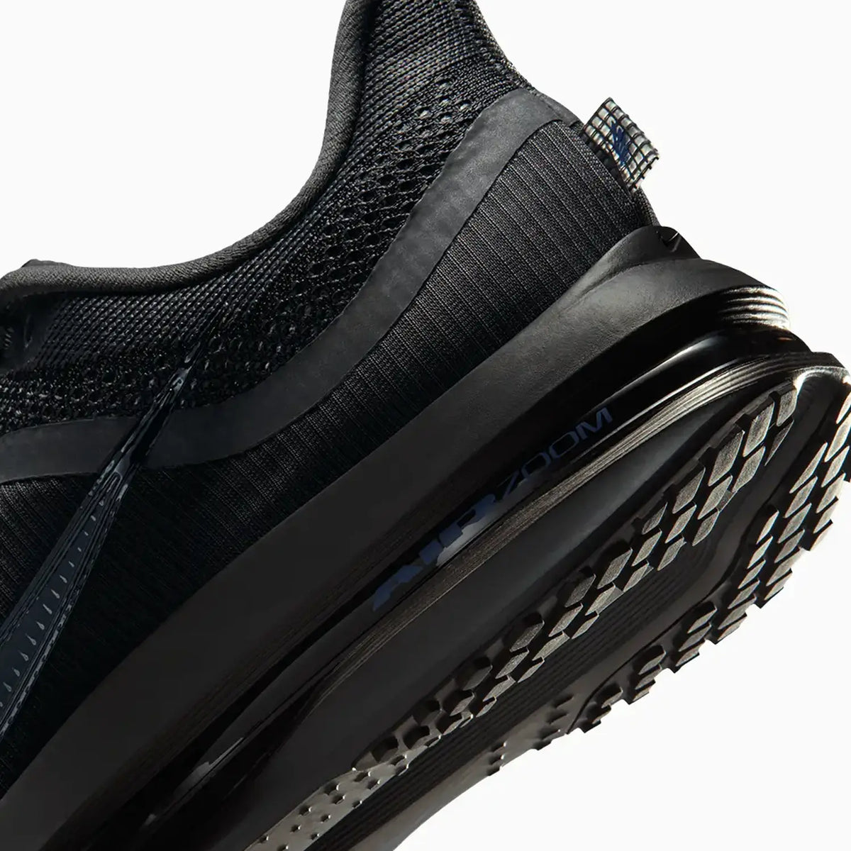 Pegasus Premium pour Homme