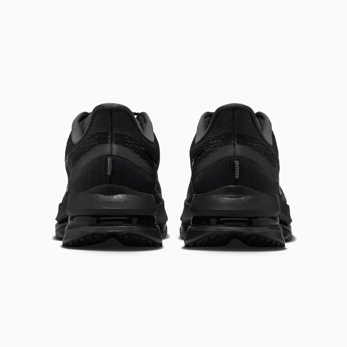 Pegasus Premium pour Homme