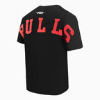 Men's Chicago Bulls NBA Wingspan Drop Shoulder T-Shirt