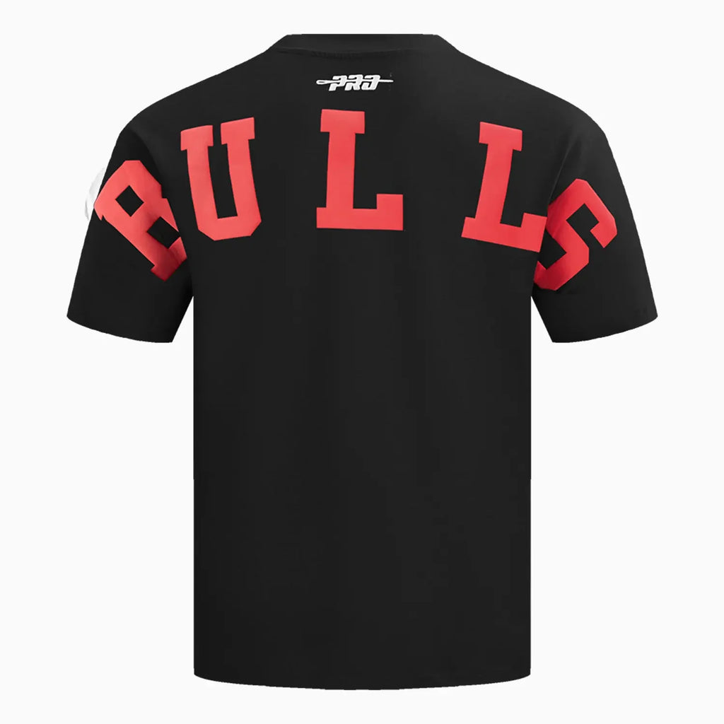 Men's Chicago Bulls NBA Wingspan Drop Shoulder T-Shirt