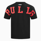 Men's Chicago Bulls NBA Wingspan Drop Shoulder T-Shirt