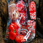 Bear Grills Dlx Sac à dos transparent