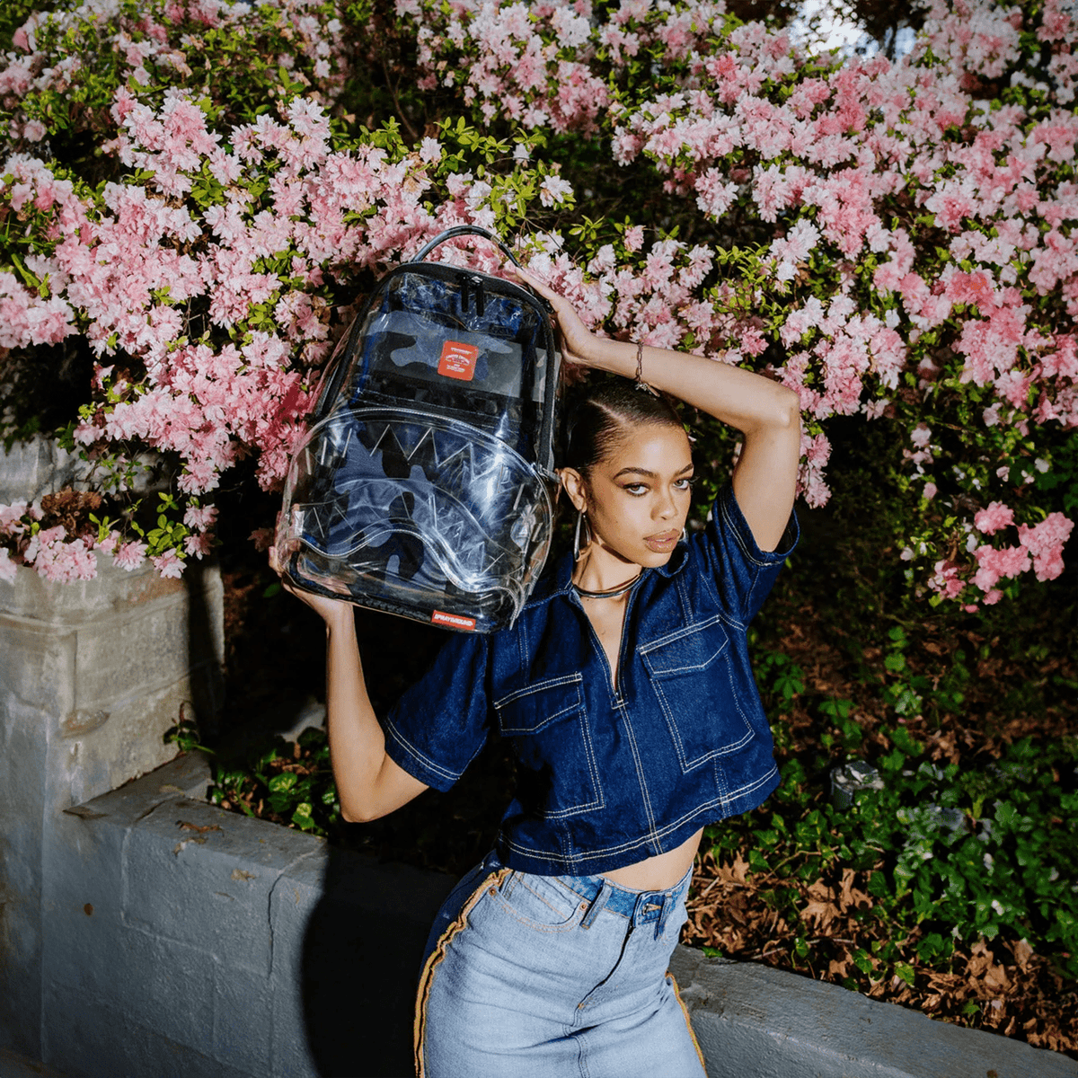 Clear As Night - Sac à dos DLX Transparent