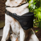The HQ Savvy Crossbody