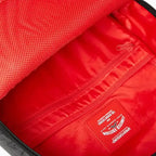 Mochila Dlxsv Cuadros Graff Rasgado
